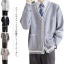 【最大2000円OFFクーポン有】カーディガン スクール メンズ レディース Vネック ニット 長袖 ポロ ワンポイント刺繍 学生 制服