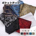 【最大2000円OFFクーポン有】メンズ ポケットチーフ スーツ用 ハンカチ ビジネス フォーマル ドレスアップ 刺繍 ネクタイ 結婚式 パーティ 披露宴 二次...