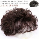 【最大21%OFF夏セールまとめクーポン有】部分ウィッグ ウィッグ ヘアピース かつら トップカバー ポイントウィッグ 頭頂部カバー 薄毛対策 白髪隠し 人毛100 ブラウン ブラック ナチュラル 自然 男女兼用 簡単 通気性(4)