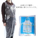 エプロン 使い捨て 100枚入り ポリエチレン製 透明 防水 撥水 防...(4)
