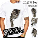 猫 Tシャツ 3D トリックアート アニマル メンズ レディース 男女兼用 半袖 クルーネック 薄手 白 おしゃれ かわいい 面白 おもしろ