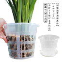 ¥最大21%OFFまとめクーポン有/胡蝶蘭 植木鉢 オーキッドポット プラスチック 透明 穴付き 洋蘭 観葉植物 多肉植物 屋内 屋外 保育園ポット 胡蝶蘭の植え替え プランター
