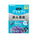 UHA グミサプリ 鉄＆葉酸 220 粒×2　UHA Gummy Supplement Iron + Folic Acid 220 Count×2