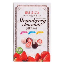 ストロベリーチョコレート アソートボックス 410g　Strawberry Chocolate Assorted Box 410g