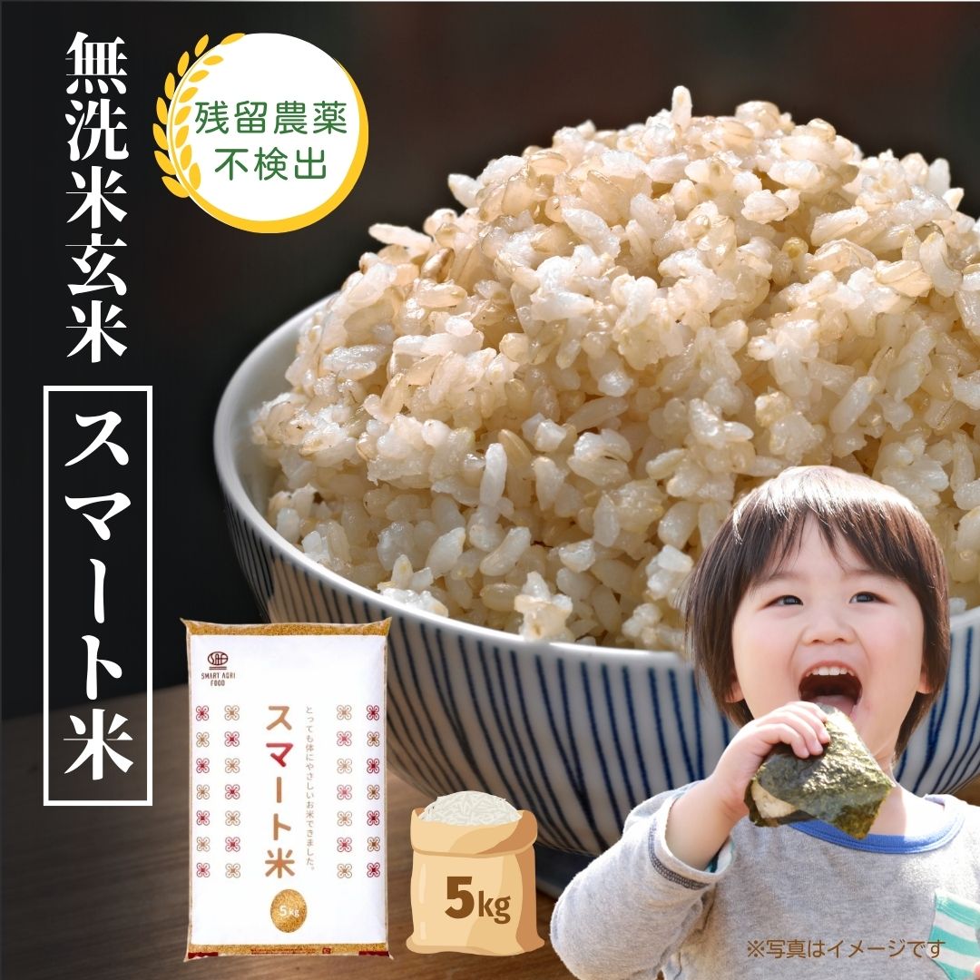 【送料無料】 無洗米玄米 スマート米 青森県黒石産 まっしぐ