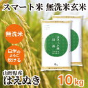 無洗米玄米 スマート米 山形県産 はえぬき 10kg (5kg×2袋) 節減対象農薬50%以下 令和6年産