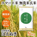 無洗米玄米 スマート米 山形県産 はえぬき 5kg 節減対象農薬50%以下 令和6年産