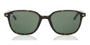 【正規品】【送料無料】レイバン Ray-Ban RB2193 Leonard 902/31 New Unisex Sunglasses【海外通販】