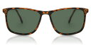 yKizyzSmartBuyRNV Full Rim Square Tortoise SmartBuy Collection Kai SG-CP132B Fashion Unisex SunglassesyCOʔ́z