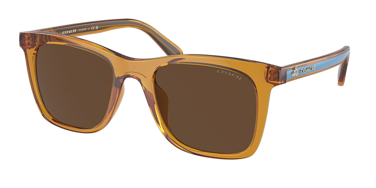 【正規品】【送料無料】コーチ Coach HC8374F CK463 Asian Fit 57483G New Women Sunglasses【海外通販】