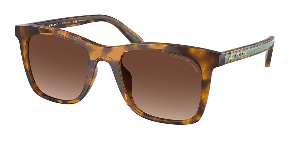 【正規品】【送料無料】コーチ Coach HC8374F CK463 Asian Fit Polarized 5120T5 New Women Sunglasses【海外通販】