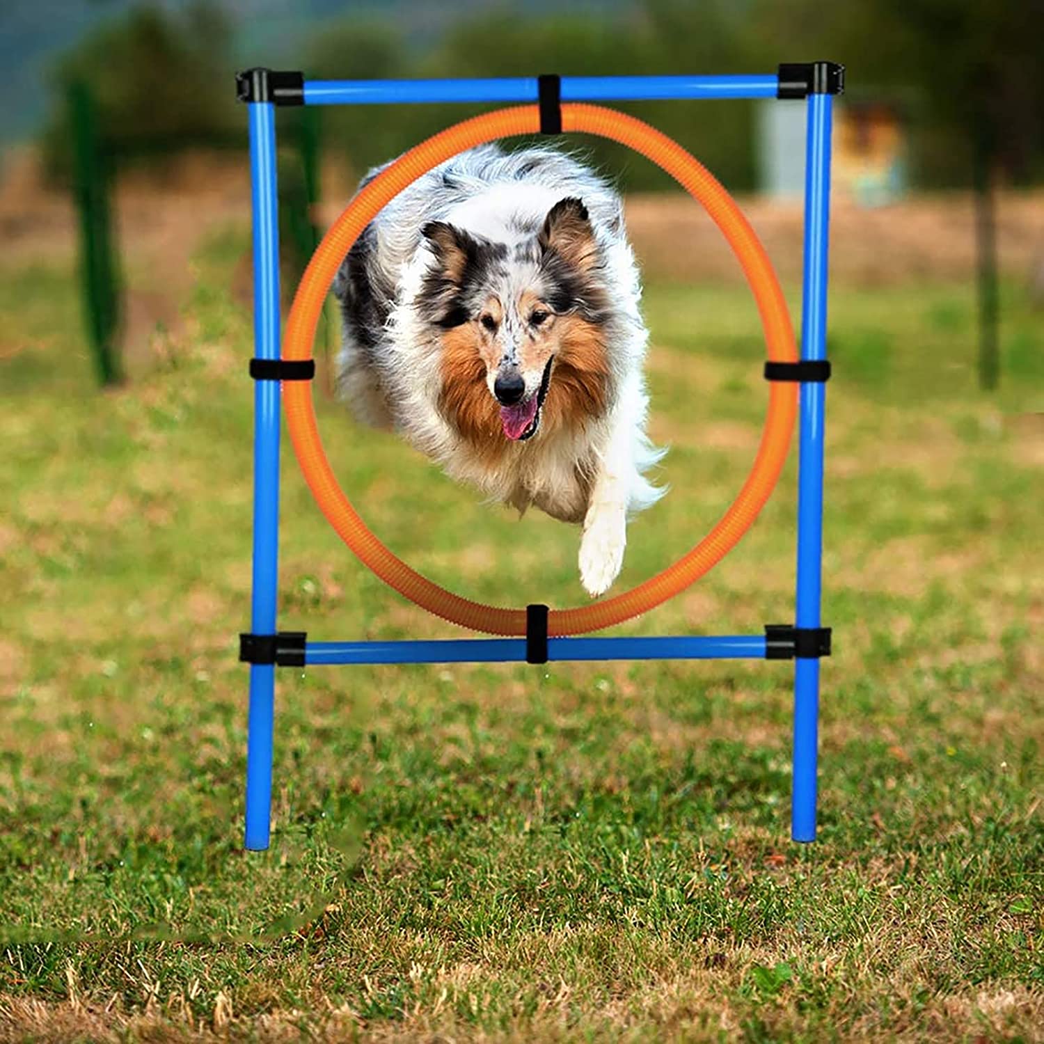 収納バッグ付きアジリティ機器犬、トレーニング犬スポーツハードルスラロームポールアジリティジャンプリング犬トレーニングハードルジャンプリング