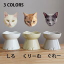 nnma 猫用 フードボウル ホワイト んーま 猫型ペット用食器 ねこ餌入れ 美濃焼 日本製にゃんこのための食器