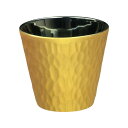 麗 ロックカップ 金
