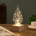 【送料無料】【名入れ】光の贈り物 しずくライト LED Fun Science クリスマス記念(3)