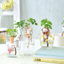 よっこいしょ!背中のかごで育てる植物 しっぽん イヌ クローバー
