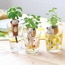 よっこいしょ!背中のかごで育てる植物 しっぽん ネコ ワイルドストロベリー