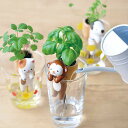 よっこいしょ!背中のかごで育てる植物 しっぽん サル バジル