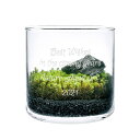 【送料無料】【名入れ】メッセージが入る苔テラリウムキット L GLASSTMOSS オウチ時間を楽しくする栽培セット 工作好きな子供へのプレゼントにもおススメで...