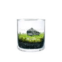 【名入れ】メッセージが入る苔テラリウムキット S GLASSTMOSS オウチ時間を楽しくする栽培セット 一人暮らしの誕生日プレゼントに