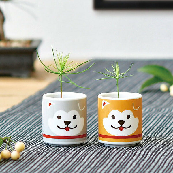 縁起がいい！ お芽でたおちょこ ハチ 赤松＆黒松セット 栽培キット