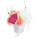 【送料無料】【名入れ】メッセージタグ付きでプレゼントできるお花の贈り物 CT触媒 カーネーション L ホワイトポット 誕生日 結婚祝い 記念日 ギフト プレゼン...