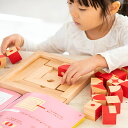 【送料無料】知の贈り物シリーズ 脳活キューブ 孫育 木のおもちゃ 保育園 幼稚園