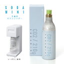 SODAMINI ソーダミニ 予備用ガスシリンダー 【ポイント2倍】【p0501】【ASU】【海外×】