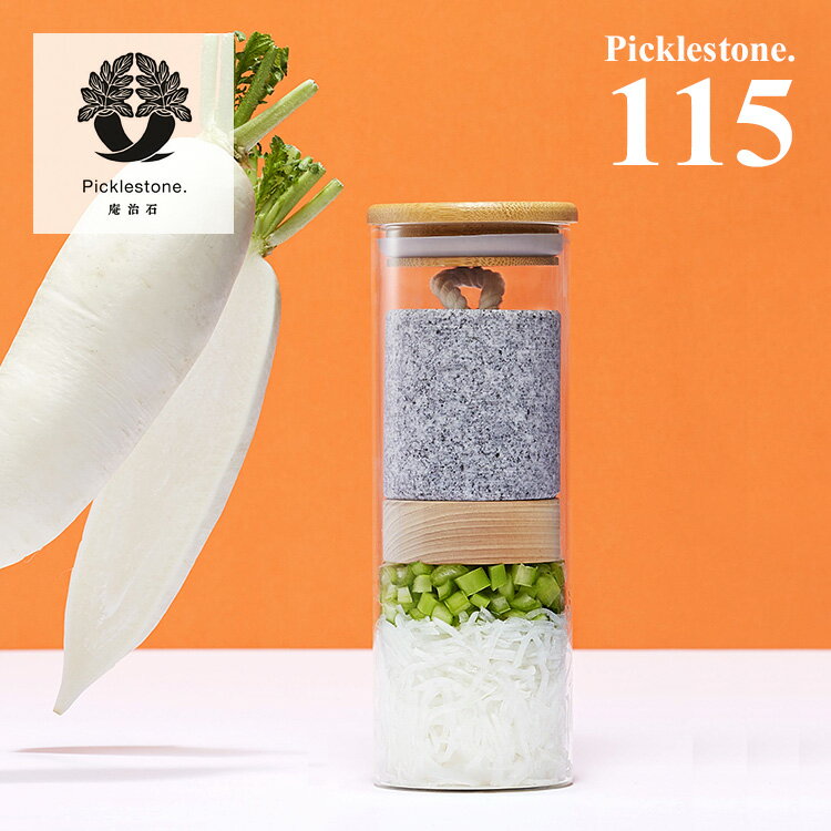 ハーモニカ『Picklestone115』