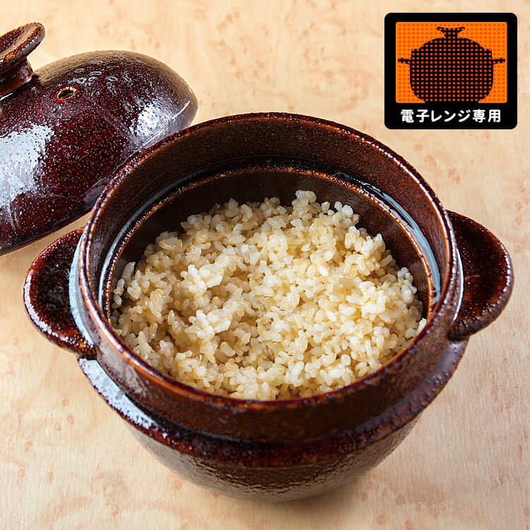 レンジで玄米炊飯セット 【ポイント11倍/送料無料】【p0624】