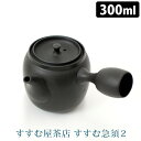 すすむ屋茶具 常滑焼 すすむ急須2 300ml 正規品 すすむ屋茶店 【ポイント10倍/送料無料】【p0611】