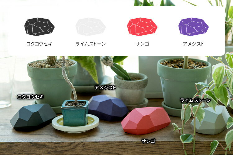 【サンゴ残り1点】suuu イシ 吸水スポンジ...の紹介画像2