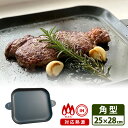 【500円OFFクーポン】DADAMA 鉄板 スクエアグリドル 25×28cm 直火・IH対応 ダダマ 【ポイント5倍/送料無料】【p0508】