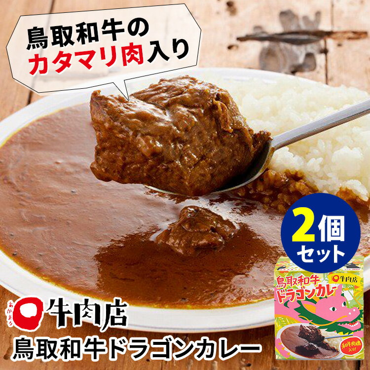 鳥取和牛　ドラゴンカレー　2個セット　（300g×2）　あかまる牛肉店　レトルトカレー　【ポイント2倍／送料無料】【食品A】【DM】【pg1031】