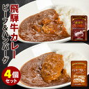 飛騨牛ビーフカレー＋ハンバーグカレー 4個セット （2種×各2） 飛騨高山牧場 レトルトカレー 【メール便送料無料】【食品A】【DM】【海外×】