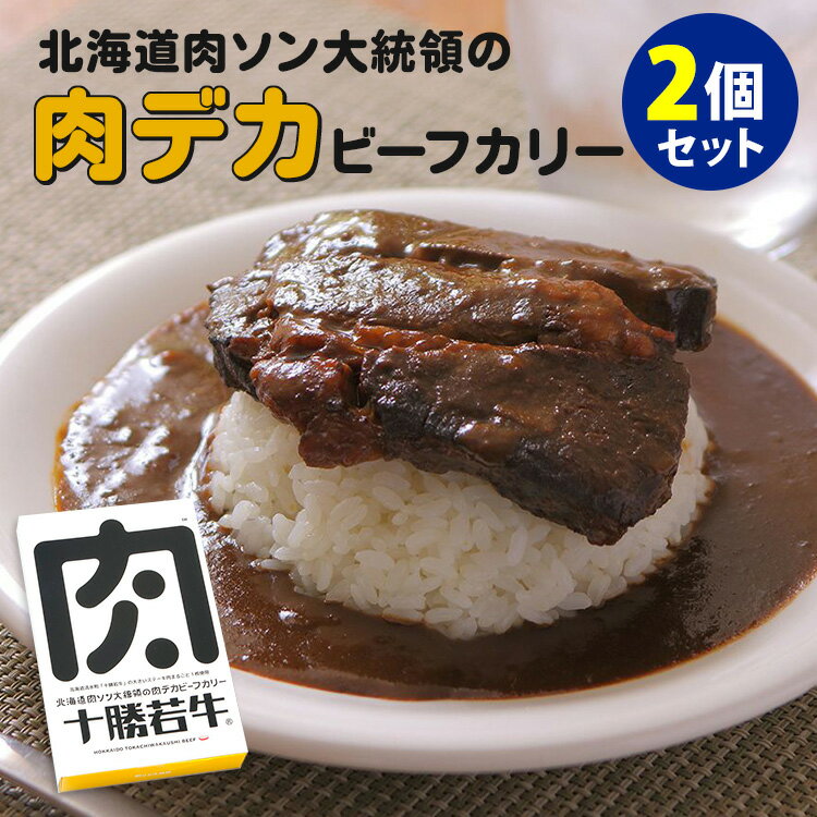 北海道肉ソン大統領の肉デカビーフカリー 2個セット 300g 2 十勝清水フードサービス 十勝若牛 レトルトカレー 【送料無料】【食品A】【DM】【海外 】