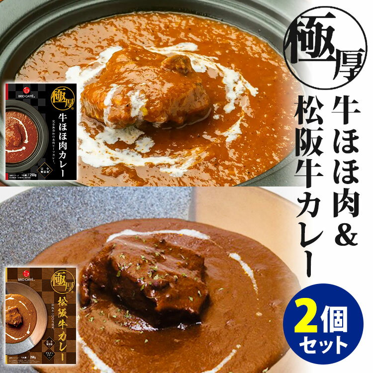 極厚 牛ほほ肉カレー＋松阪牛カレー 2種セット （260g×2） ブリオカフェ レトルトカレー 【食品A】【DM】【海外×】