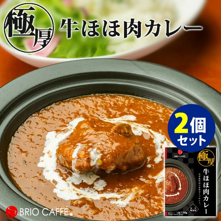 極厚 牛ほほ肉カレー 2個セット （260g×2） ブリオカフェ レトルトカレー 【食品A】【DM】【海外×】