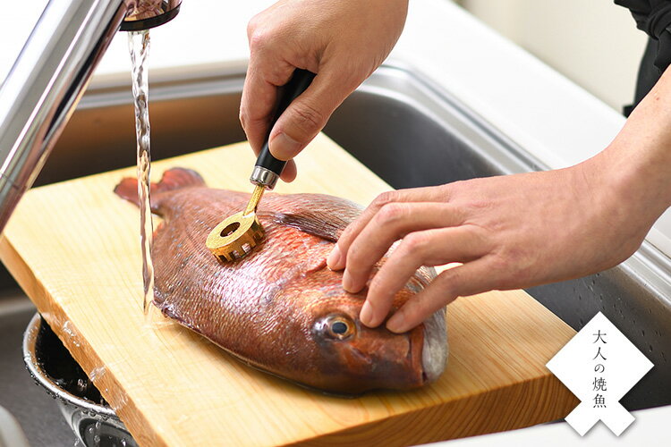 �ڳ�ŷ1�̡���ͤξƵ� �ڤȤ� OTS8013 �����������ӻ���ʤ����ꥳ�󥫥С��դ� ��������� �������� �ڥݥ����10��/����̵���ۡ�p0312��