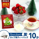 カレルチャペック 2023年限定 メリークリスマスティー 個包装カップ用ティーバッグ10P（5P×2セット） 紅茶 karelcapek 【ポイント2倍/箱から出してメール便対応/メール便可】【食品A】【DM】【p0501】