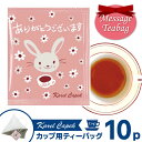 カレルチャペック 紅茶 カレルチャペック メッセージティーバック ありがとうございます ホワイトピーチティー 個包装カップ用ティーバッグ10P （5P×2セット カップ用 白桃 karelcapek ルフナ）【ポイント2倍/箱から出してメール便可】【食品A】【DM】【p0501】