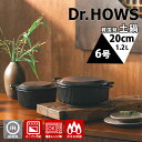 Dr.HOWS OREUM オルム土鍋 20cm (6号 セラミックポット 韓国 ガス火 電子レンジ オーブン 食洗機OK 保温 耐久性 コンパクト 炊飯 冷麺...