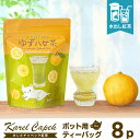カレルチャペック 水出しゆず八女茶 ポット用ティーバッグ8P (スタンドパック 24杯分 星野製茶園 柚子 緑茶 日本茶 水出し紅茶 夏限定 奥八女 水出し八女...