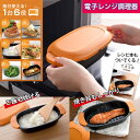 【クーポン特典付】レンジ調理器 できた亭 アーネスト (炊飯OK 電子レンジ調理 電子レンジ専用 ほったらかし調理 時短調理 簡単調理 万能調理器 煮込み 焼き...