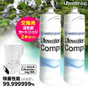 ライフウォータージャグ専用 交換フィルター 2本セット (Lifewater Jug 交換カートリッジ 活性炭 除菌 ろ過 交換用フィルター ポット型浄水器 浄水ポット 災害対策)【ポイント5倍/送料無料】【p0821】【海外×】
