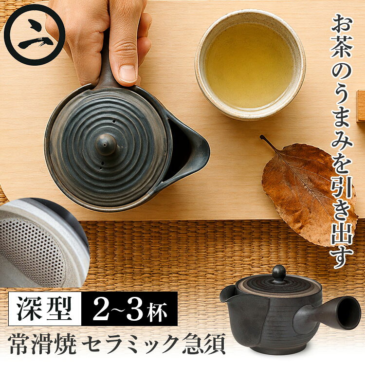 天一印 常滑焼 セラメッシュ急須 深型 2〜3杯用 （TMT-001 400ml 急須 きゅうす 茶...