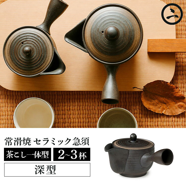 天一印 常滑焼 セラメッシュ急須 深型 2〜3杯用 （TMT-001 400ml 急須 きゅうす 茶...