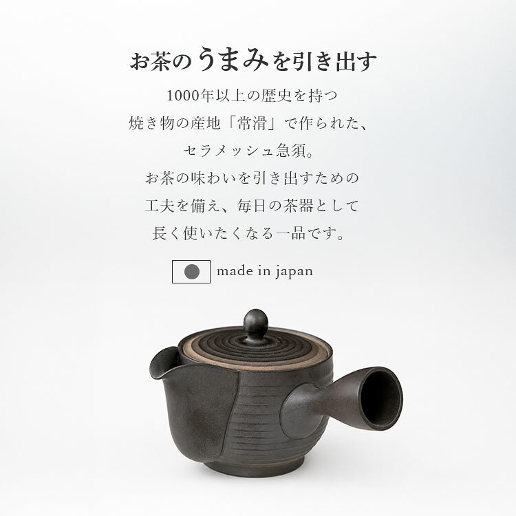天一印 常滑焼 セラメッシュ急須 深型 2〜3杯用 （TMT-001 400ml 急須 きゅうす 茶...