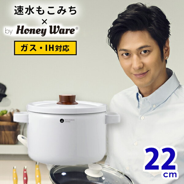 速水もこみち×HoneyWare　22cm深型キャセロール　【ポイント5倍／送料無料／在庫有／あす楽】【RCP】【p0830】