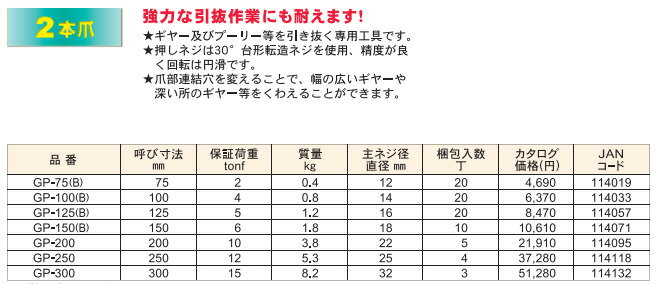 ARM/アーム産業　ギヤープーラー　2本爪　（GP-タイプ）　GP-250　【代引き不可】　【北海道・沖縄・離島配送不可】 3